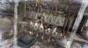 Prince of Persia - 4